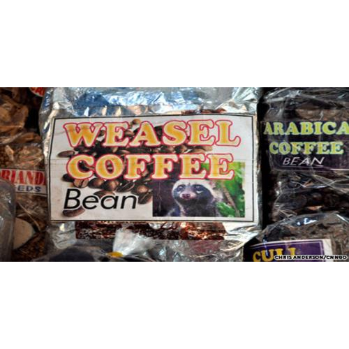 72 Giờ Sống Động Ở Hà Nội